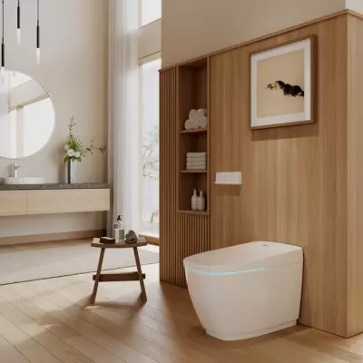 Thị trường bồn cầu Inax 1 khối tại TP.HCM năm 2026 ghi nhận sức mua tăng mạnh